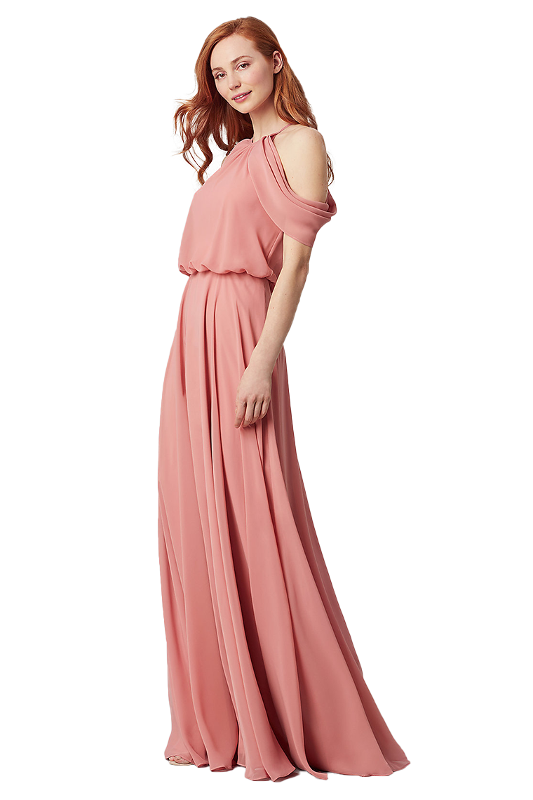 Frederica A-Line/Princess Chiffon Floor Length Natural Waist Halter Sleeveless Bridesmaid Dresses