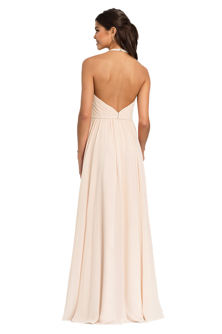 Penny Chiffon A-Line/Princess Floor Length Halter Natural Waist Sleeveless Bridesmaid Dresses