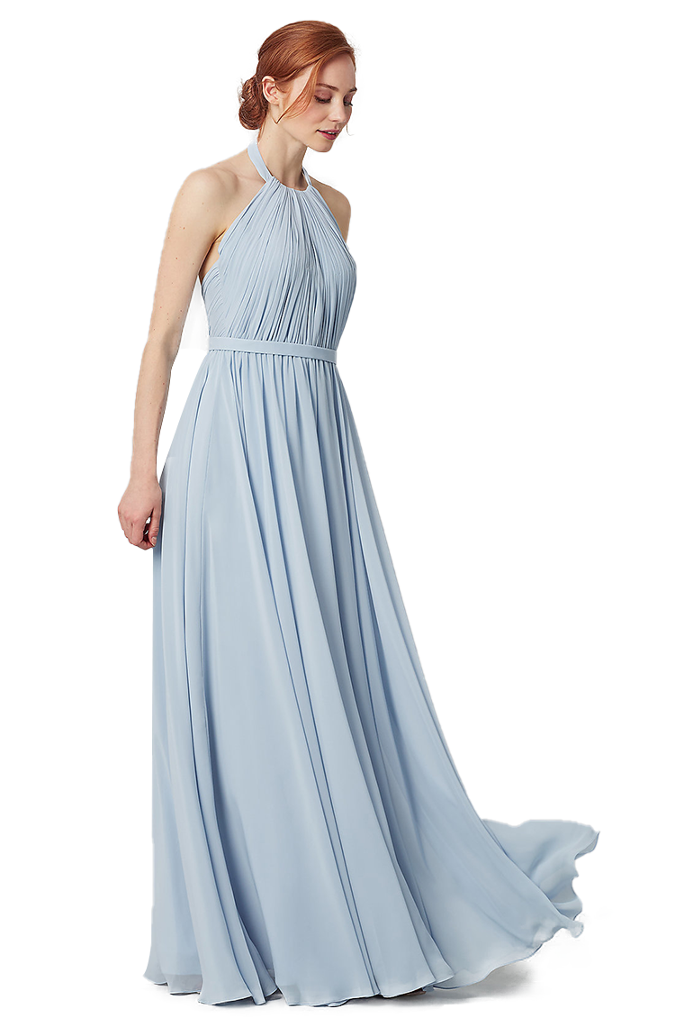 Penny Chiffon A-Line/Princess Floor Length Halter Natural Waist Sleeveless Bridesmaid Dresses